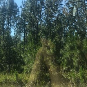 Meet your Posher, Juliann